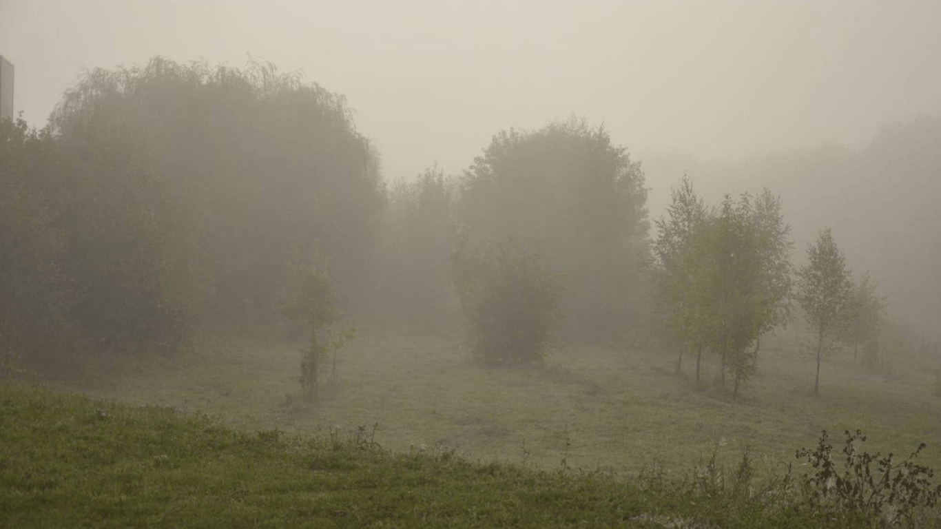 Контрастний осінній день у Львові