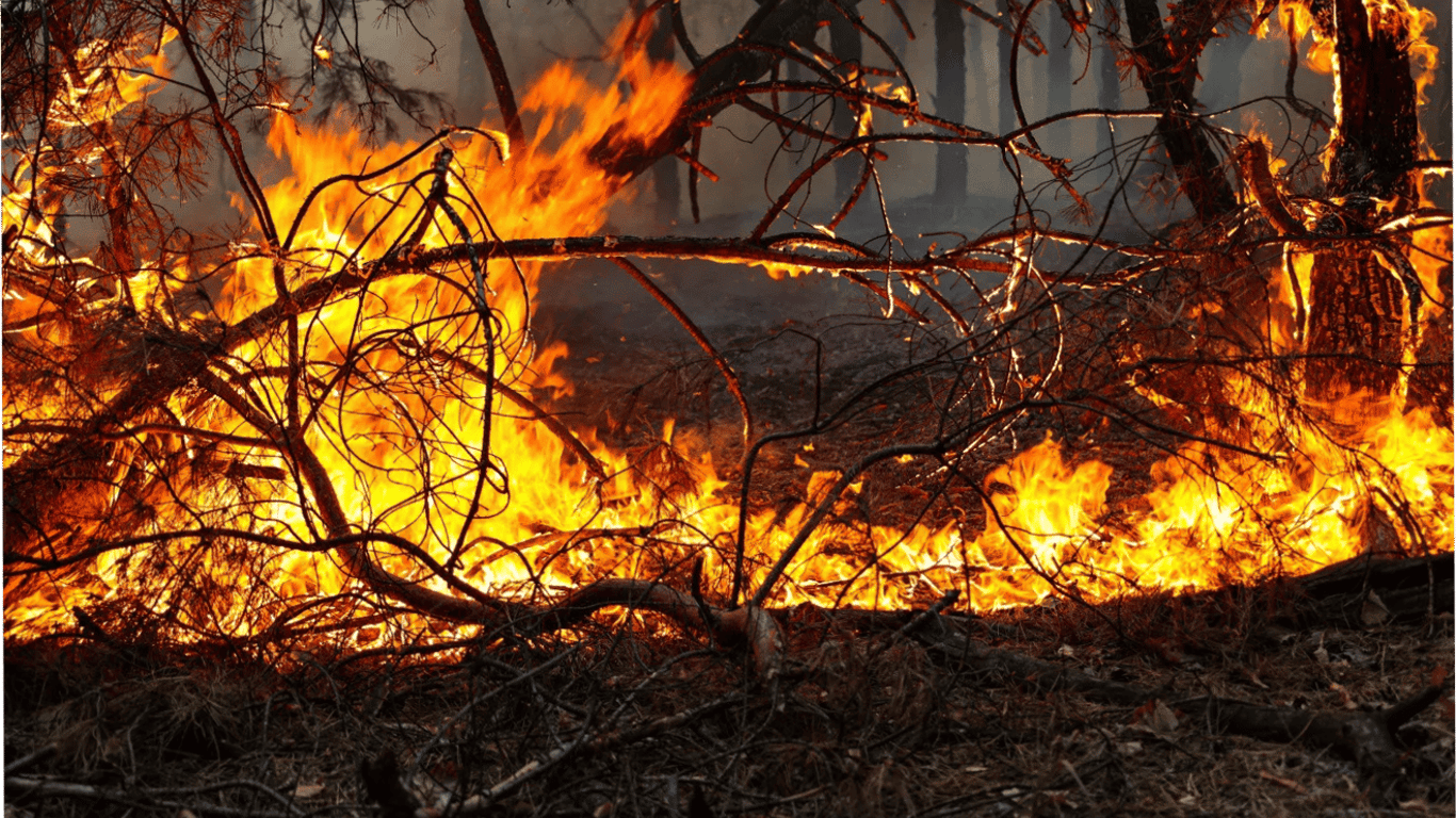 Непередбачувана погода на Львівщині