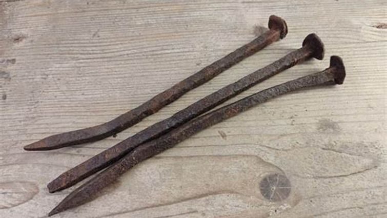 Давня традиція підживлення яблунь цвяхами