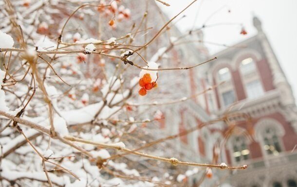 Зміцнення гривні: оптимістичні перспективи