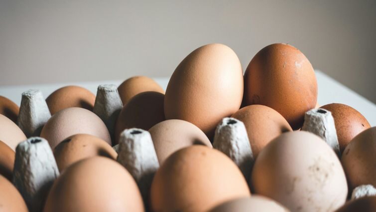 Як правильно зберігати яйця