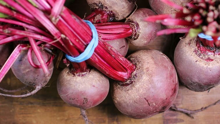 Рекомендації для зберігання буряків