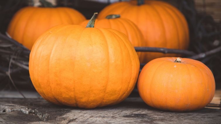 “Традиція давати гарбуза в Україні”