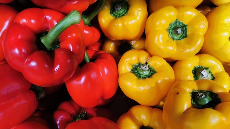 Ключові фактори успішного вирощування перцю