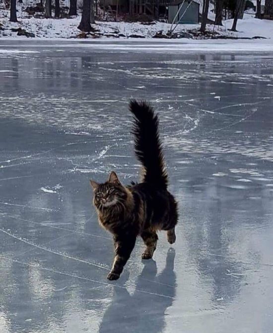 Жовтий рівень небезпеки в Києві