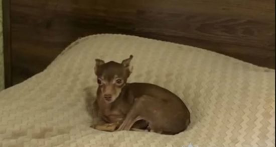 Жорстоке поводження: виклик для суспільства