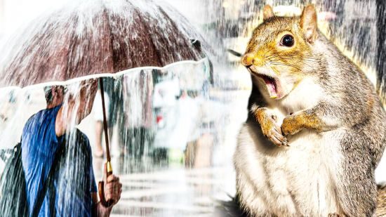 Кліматичні виклики та адаптація Києва