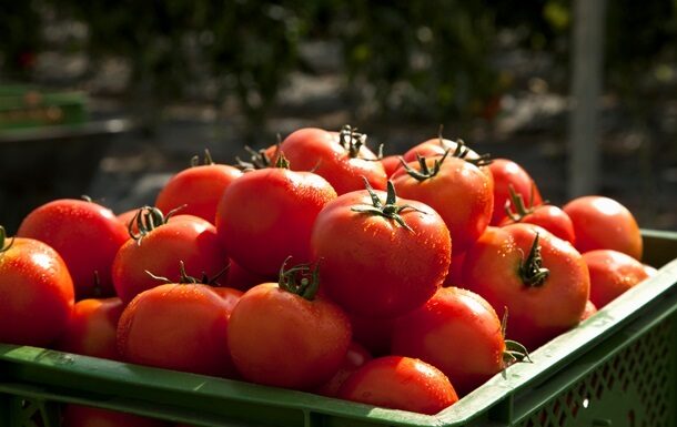 Томатний тариф загрожує цінам США