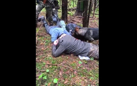 Прикордонники затримали нелегалів у Карпатах