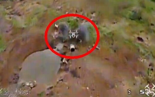 Інноваційний дрон “Королева Шершнів” змінює війни