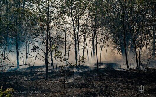 Battle For Lyman Ukrainian Forces Hold Frontline