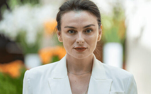 Moldova Wants Budjak Ukrainian Sovereignty Threat