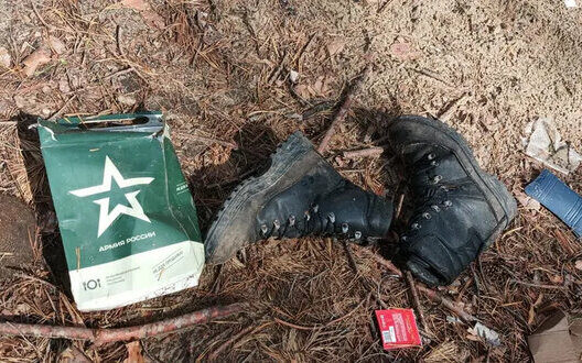 Russian Army Losses Exceed K Zsu Report