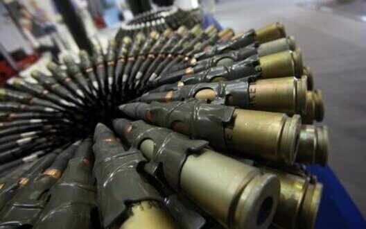 Ukraine Defense Industry Growth