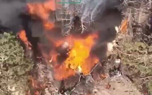 Success Of Special Operations Forces Kinburn Spit Key To Victory