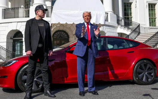 Trump Musk Reputation Battle Online