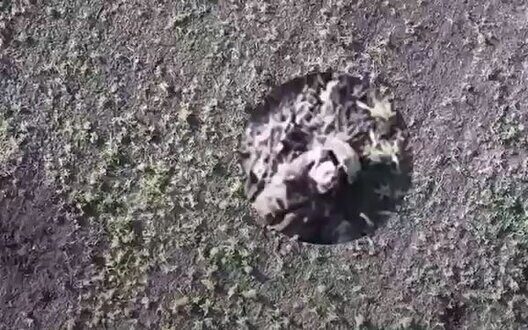 Ukrainian Drones Precision Strikes Victories War