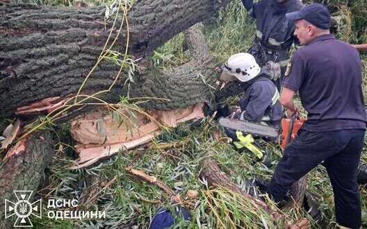 Tragedy In Baltic Staying Safe In Storms Nature Escapes
