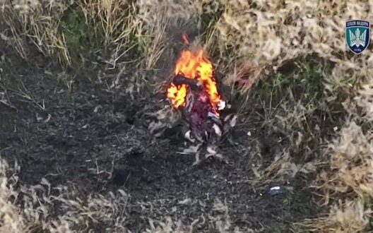 Ukraine Strike Drones New Victories Birdsof Magyars