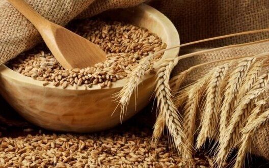 Wheat Yield Decline Ukraine Challenges Predictions