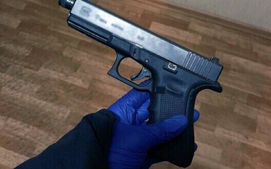 Firearms Declaration Ukraine Overview Importance