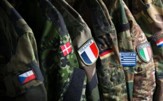 Online Meeting Coalition Support Ukraine Peace