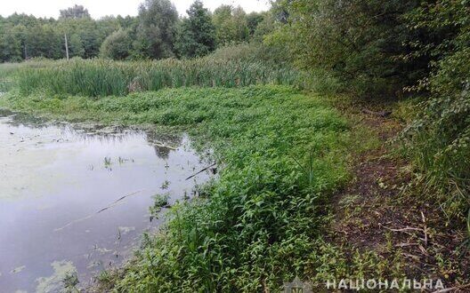 Restoring Eu Wetlands Natural Shield Climate Fight