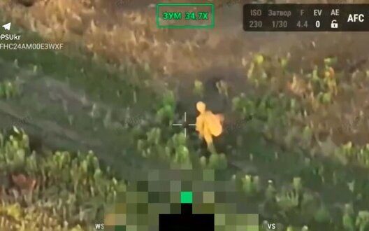 Ukrainian Phenix Drones Destroy Enemy Equipment And Combatants