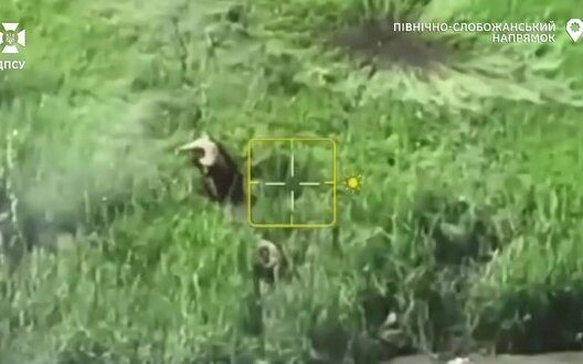 Ukrainian Rupak Prime Drones Destroy Enemy Slobozhanshchyna