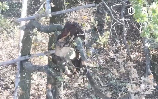 Drone Strike Th Brigade Precision Warfare