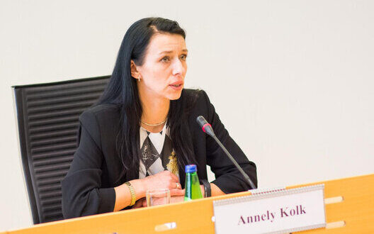 Estonian Ambassador Kyiv Calls Strengthen Ukraine Air Defense After Russian Strikes