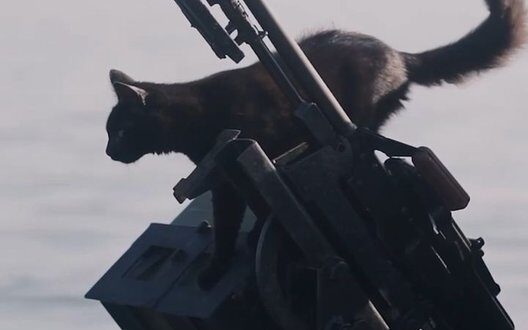 Eleonora The Fighting Talisman Of Ukrainian Border Guards