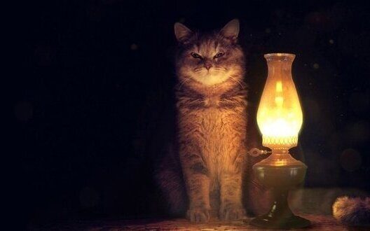 Emergency Power Outages Ukraine Fall Guide