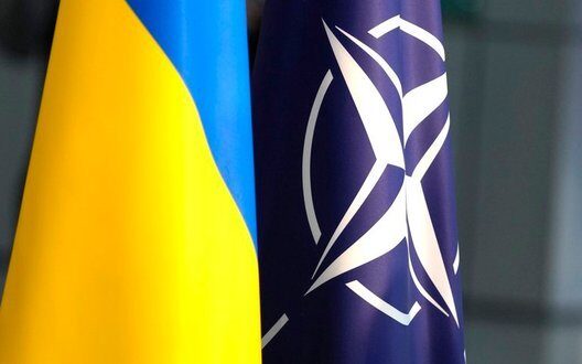 How Purl Improves Nato Military Aid Ukraine