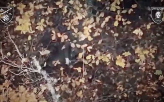 How To Effectively Process News Stay Updated