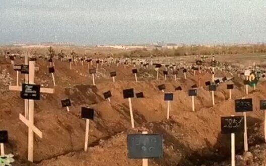 Mariupol Occupation Tragedy Losses