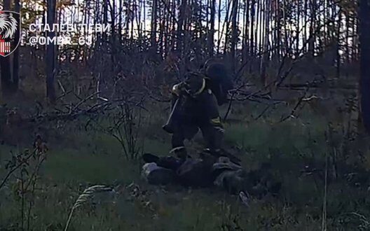 Bravery Of Steel Lions Liman Operation