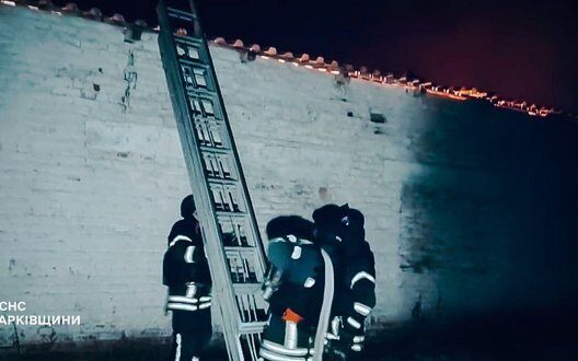 Drone Strike Moskalivka Farm Pig Destruction Injury