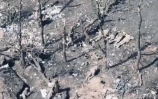 Execution Of Prisoners Of War Donbas Russian War Crime