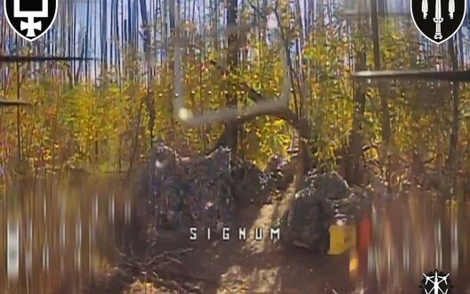 Fpv Drones Signum Battalion Changing Battle Limani