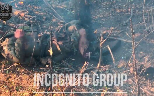 Renewable Energy Future Ecology Economy