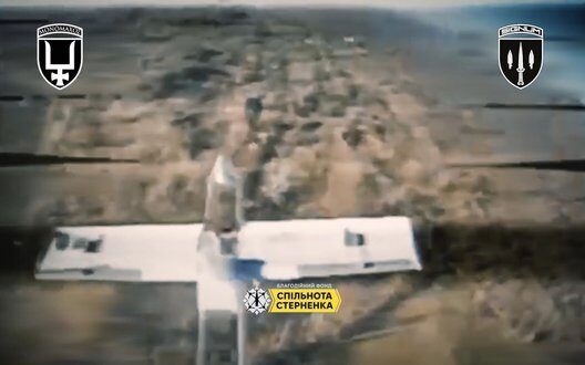 Signum Brigade Destroys Enemy Drones In Lyman