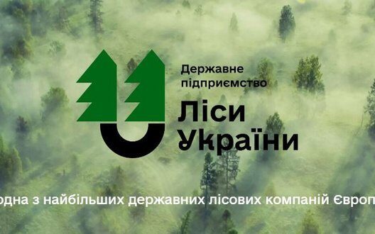 Ukraine Forests Switch To Prozorro Transparent Tenders Logging
