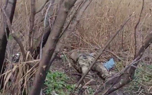 Water Supply Crisis Donetsk Occupation Problems Consequences