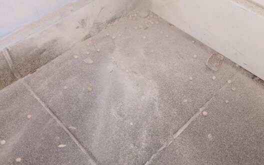 Explosion Of Airsoft Grenade In Kyiv School Consequences And Safety