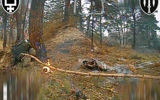 Fpv Drones Signum Battalion Changing War Donbass