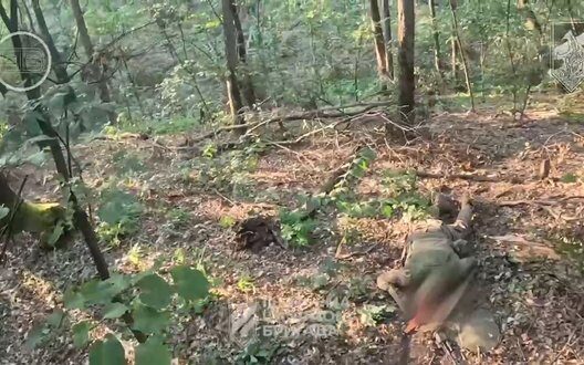 Reconnaissance Luhansk Forest Brigade Hatred Jungle Combat