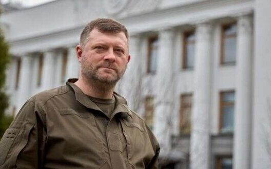 Servant Of The People New Leader Stability No Rebranding