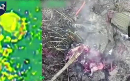 Sustainable Living Modern Eco Friendly Lifestyle