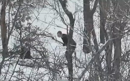 Штучний інтелект: революція для бізнесу і повсякденного життя